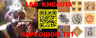 винт Моздок