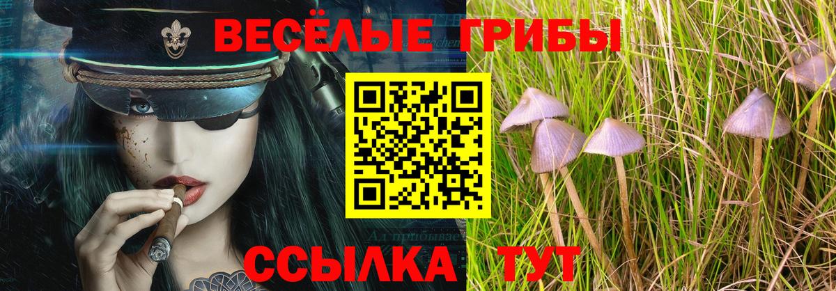Псилоцибиновые грибы ЛСД  Унеча  Галлюциногенные грибы MAGIC MUSHROOMS 