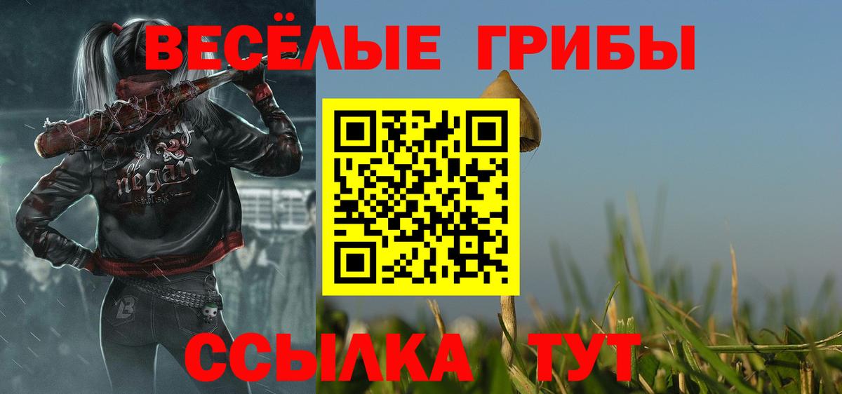 Псилоцибиновые грибы Cubensis Унеча