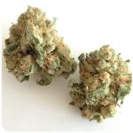 Шишки "White Widow"  (Белая вдова)  Гидропоника -  Бошка VHQ в Унече